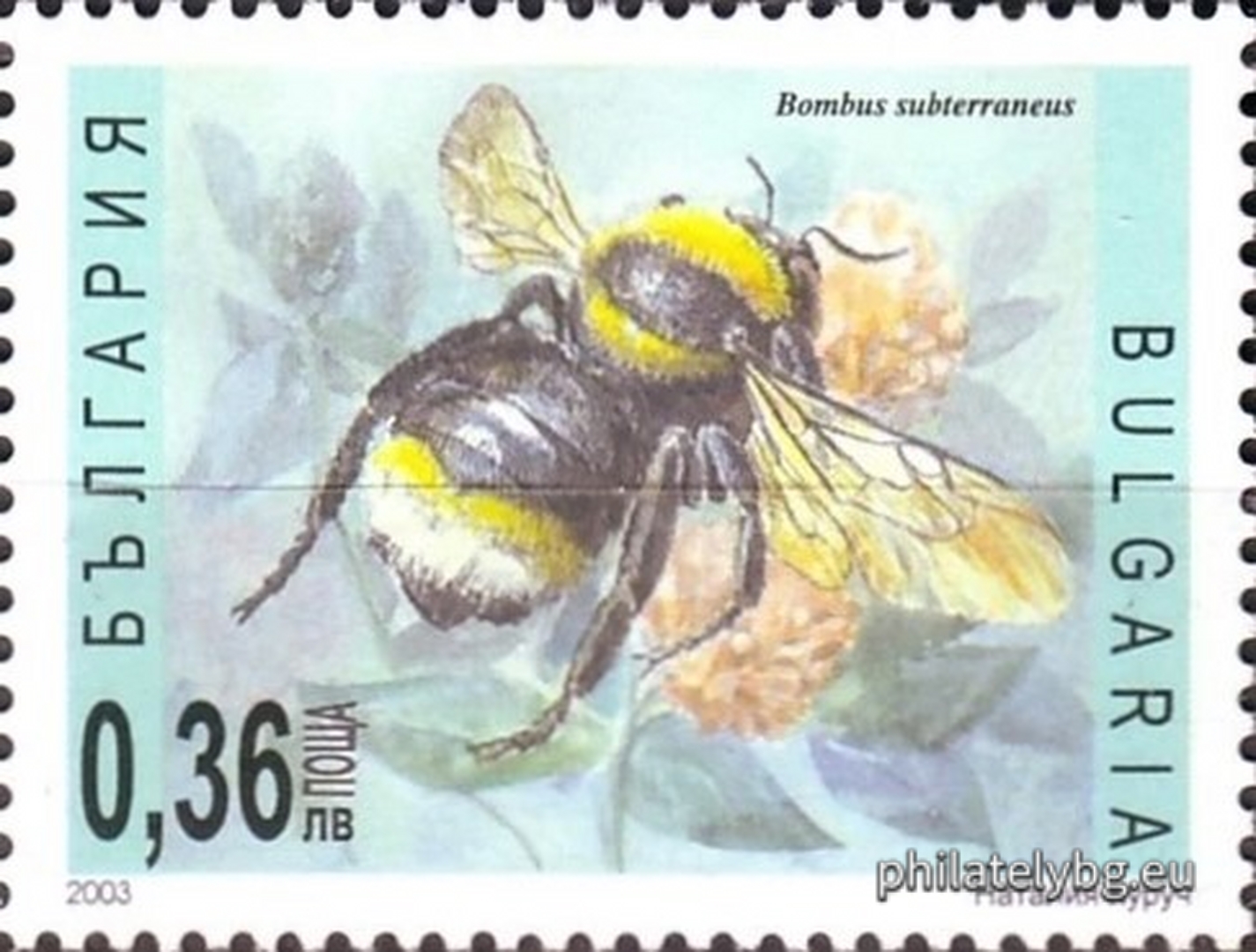"Bees" - four postage stamps and a special postmark.