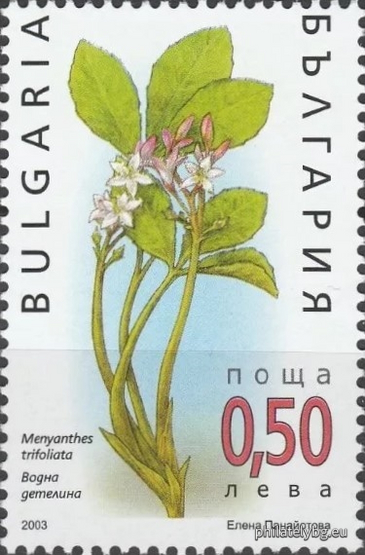 "Aquatic Plants" - four postage stamps and a special postage stamp.