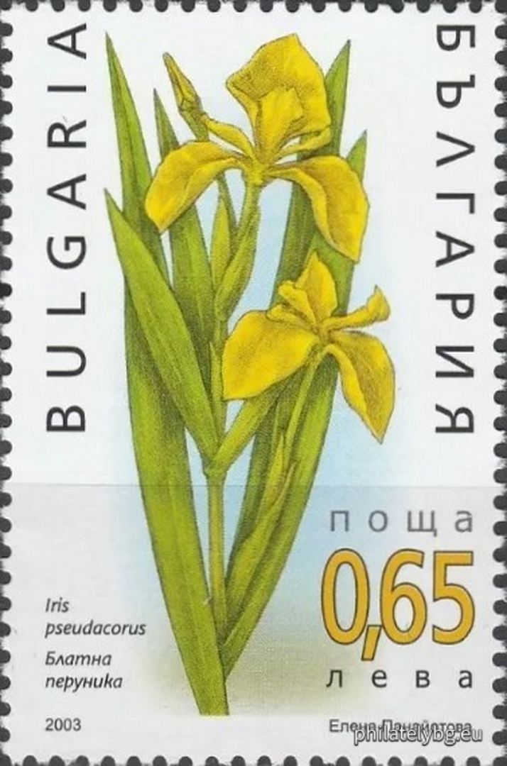"Aquatic Plants" - four postage stamps and a special postage stamp.