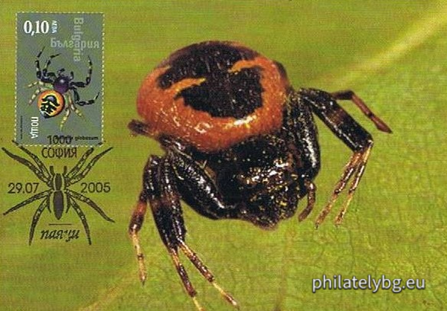 "Fauna - Spiders" - four postage stamps and a special postage stamp.