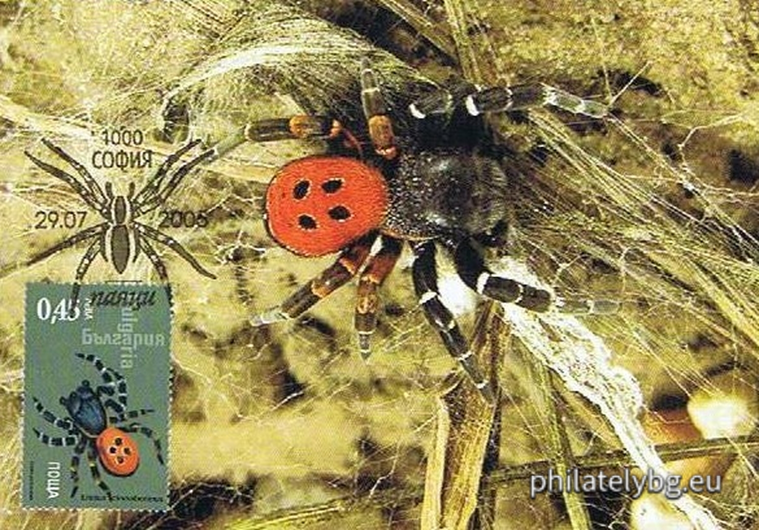 "Fauna - Spiders" - four postage stamps and a special postage stamp.