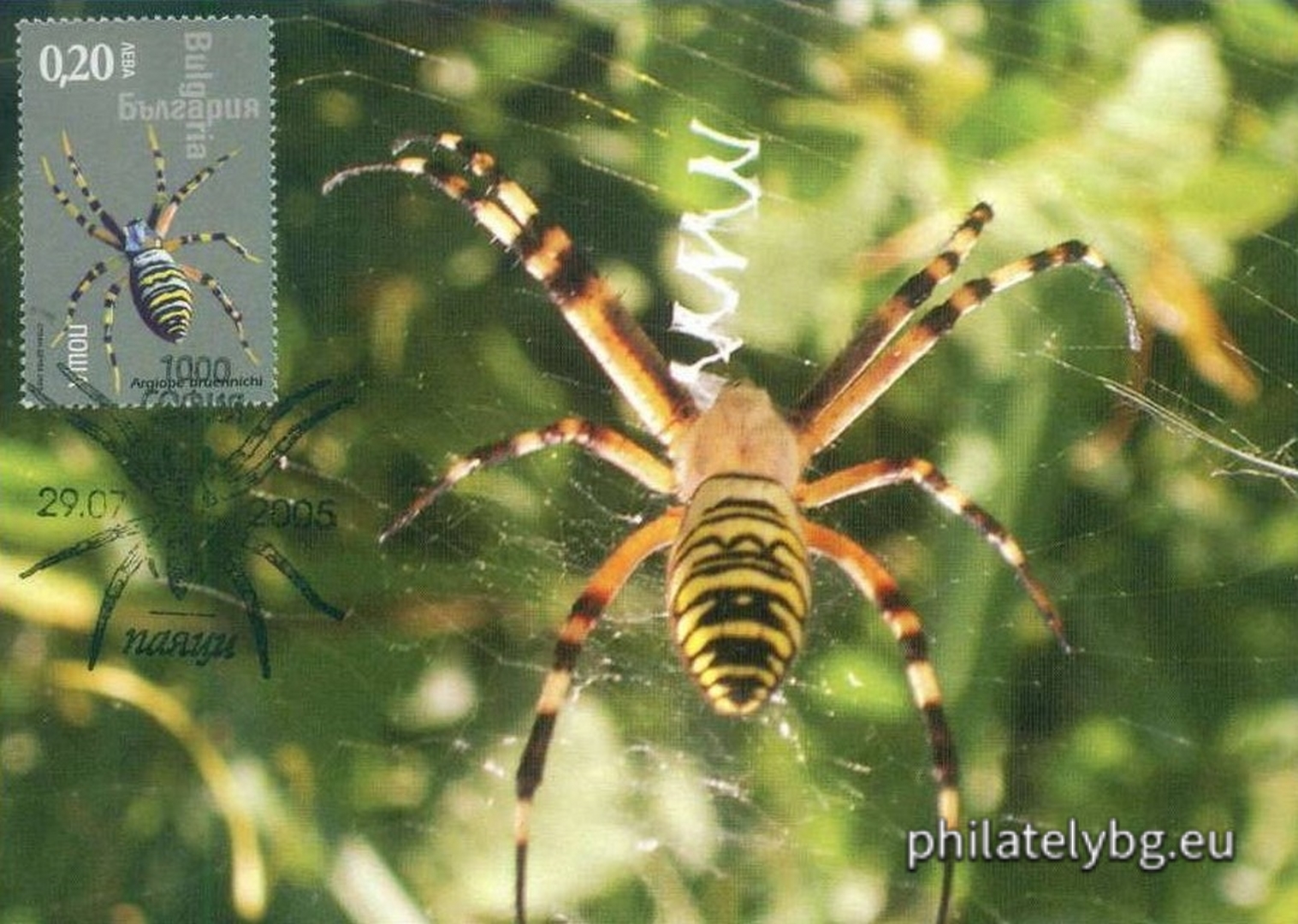 "Fauna - Spiders" - four postage stamps and a special postage stamp.