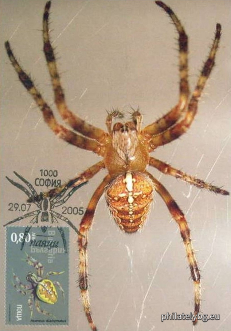 "Fauna - Spiders" - four postage stamps and a special postage stamp.
