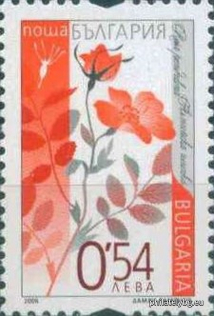 2006