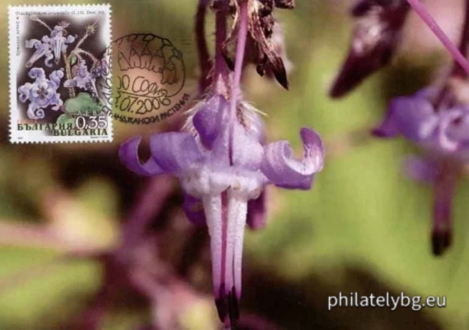 "Flora - Strandzha plants" - four postage stamps and a special postage stamp.