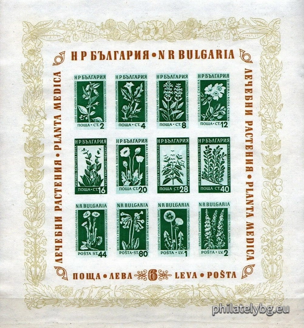 "Regular - medicinal plants." - block sheet. Dimensions 161x172 mm.