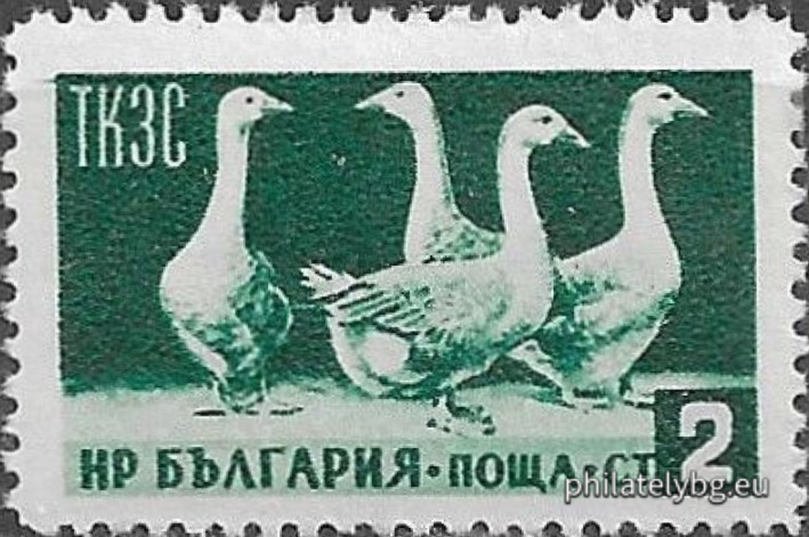 1955