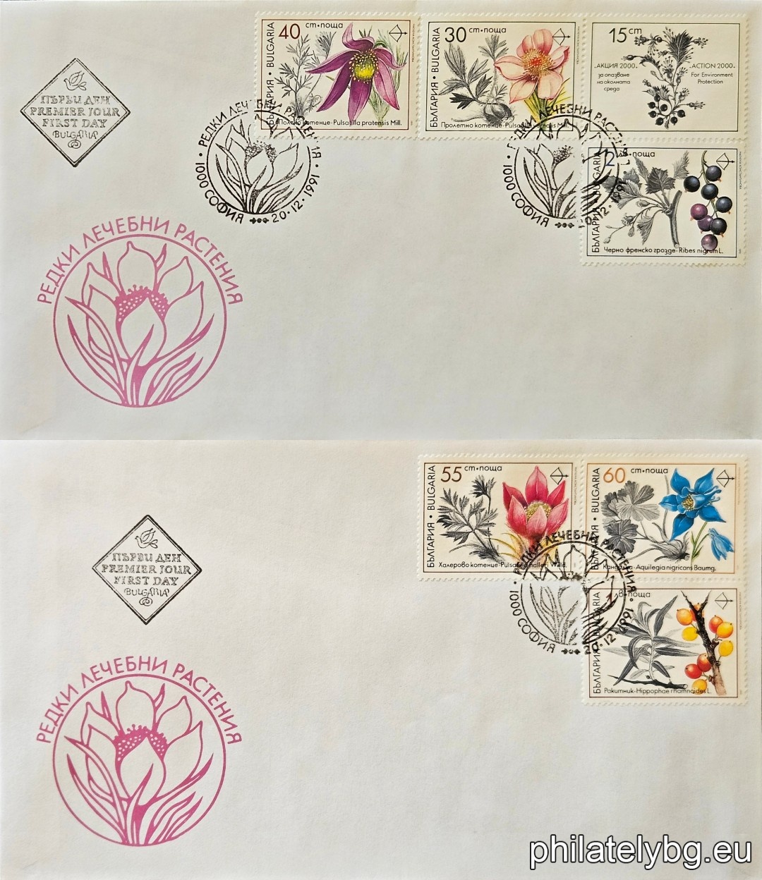 Two first-day covers. 3969 - spring catkin; on the vignette - hawthorn; 3970 - field catkin; 3971 - hallers catkin; 3972 - kandilka; 3973 - sea buckthorn; 3974 - black currant (cassis).