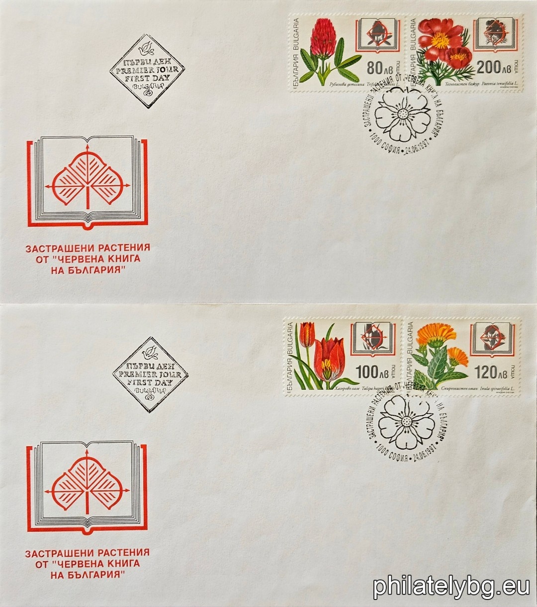 Two first-day envelopes. 4298 - ruby ​​clover; 4299 - hager tulip; 4300 - spirea comfrey; 4301 - narrow-leaved peony.