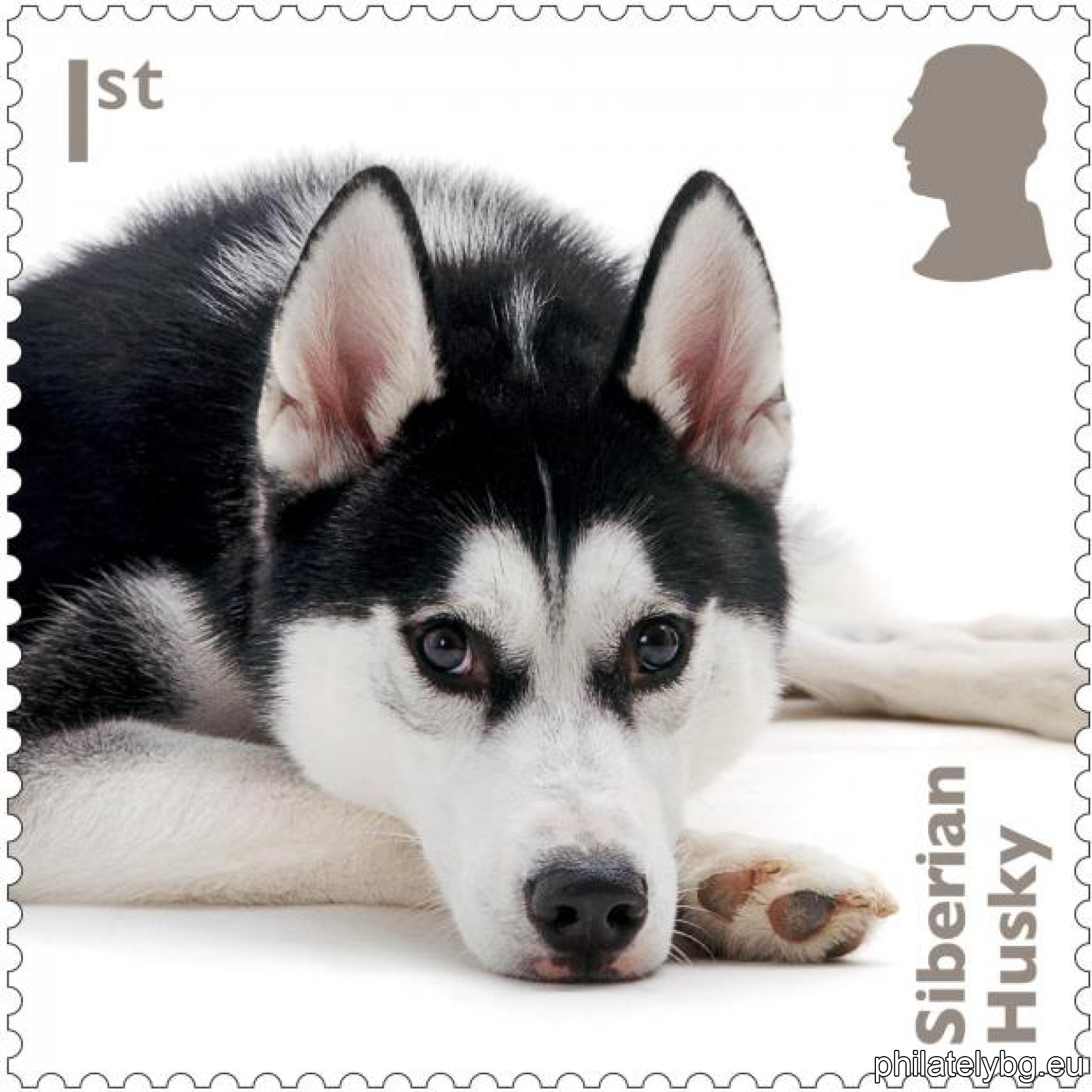 Royal Mail - Dog Breeds in the United Kingdom 2024.