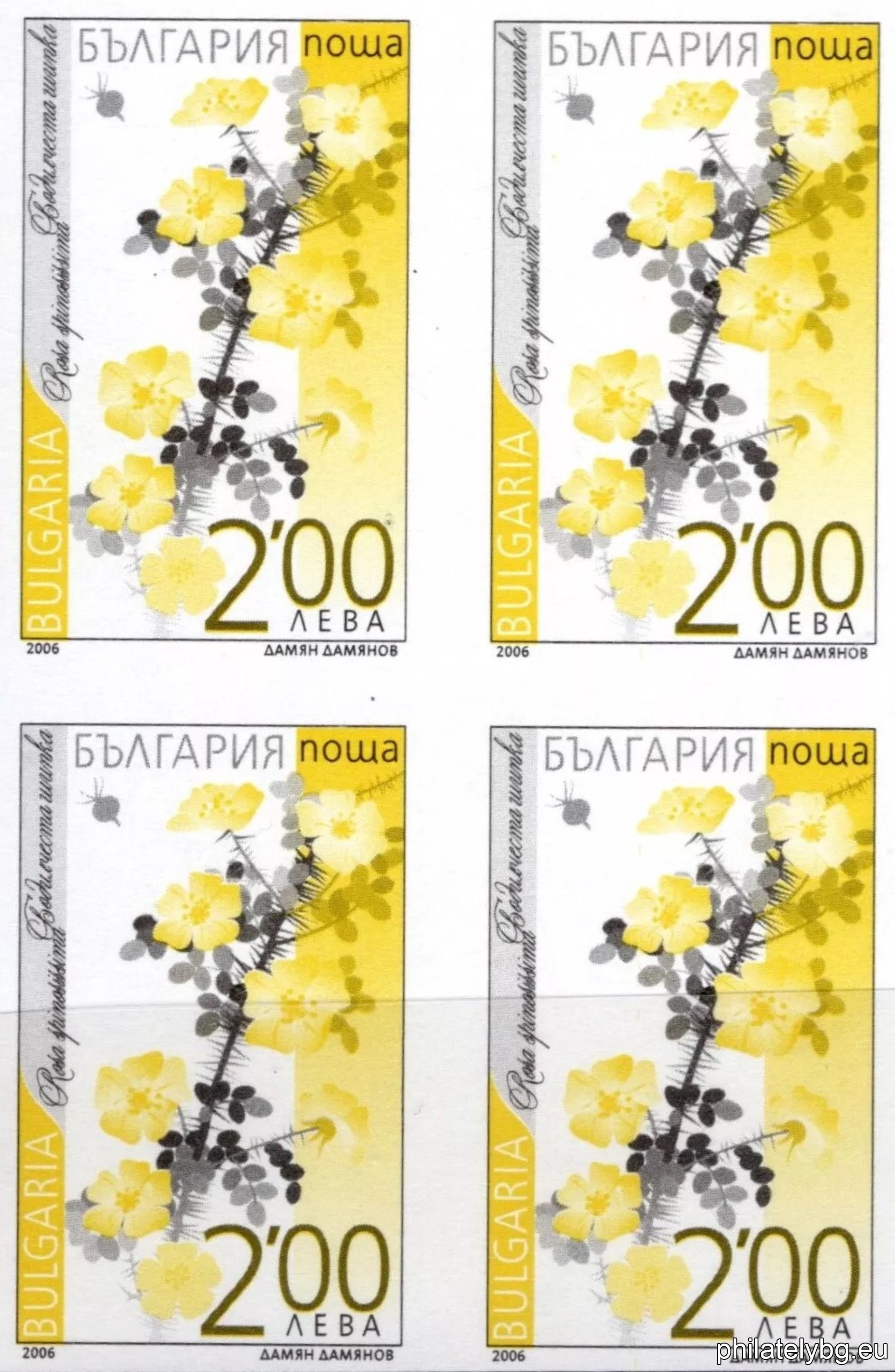 Превю