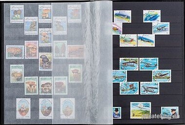First Steps in Arranging Your Collection